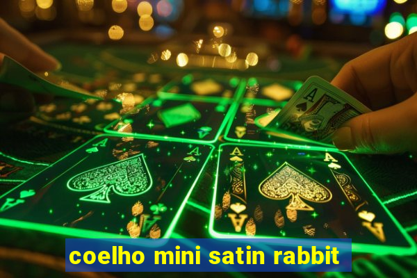 coelho mini satin rabbit